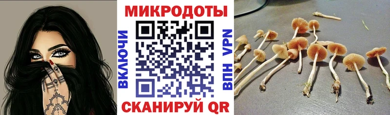 купить наркотики сайты  ссылка на мегу ONION  Псилоцибиновые грибы Magic Shrooms  Калачинск 